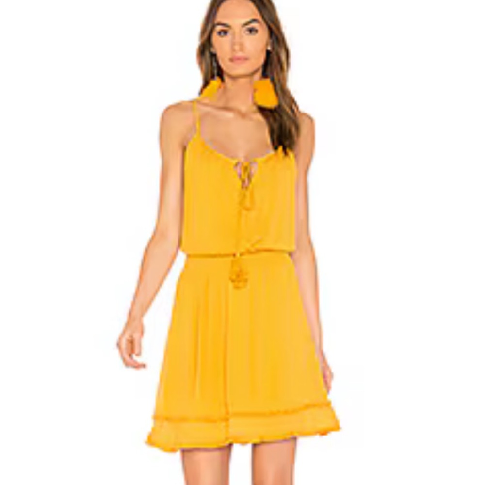 REVOLVE Heartloom gold sundress